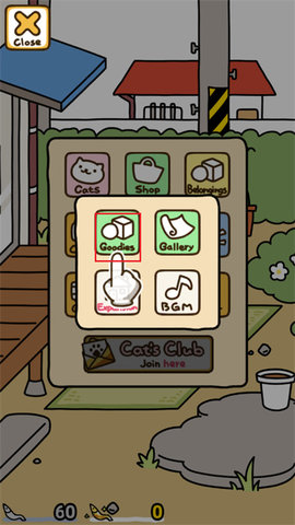 猫咪后院2 猫咪后院2