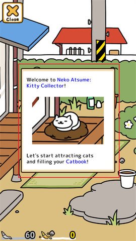 猫咪后院2 猫咪后院2