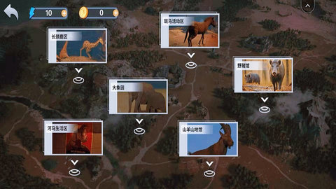 癫狂动物园 癫狂动物园