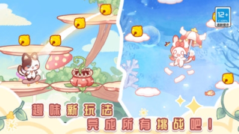 我的可爱猫咪 我的可爱猫咪