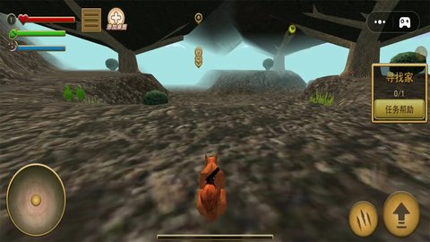 动物世界对决 动物世界对决