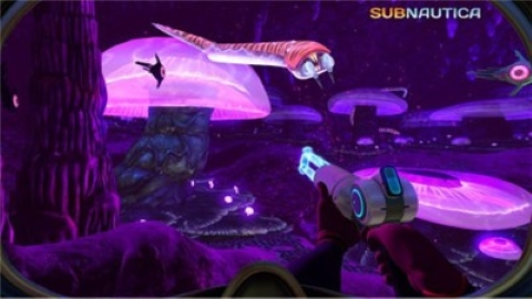 美丽水世界 美丽水世界