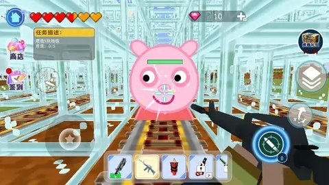 小猪家园奇闻 小猪家园奇闻