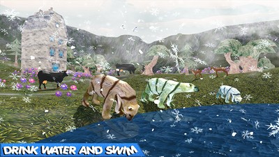 熊家庭幻想丛林手游