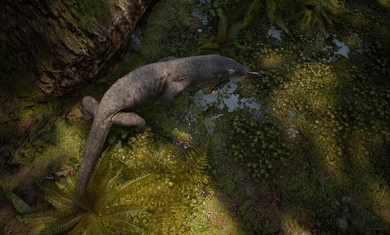 泰坦之路国际服手游