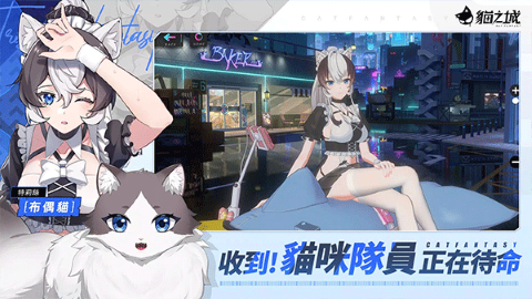 猫之城国际服
