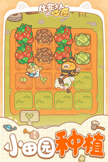 住客大人的心愿2024