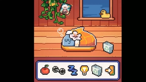 我的小鲨鱼内置菜单