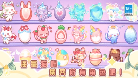 我的可爱猫咪