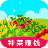 种菜赚钱手游